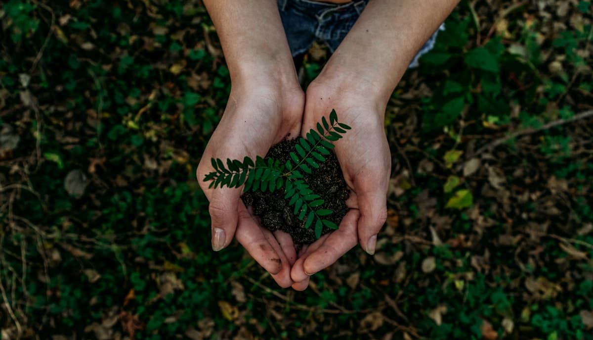 What is Psychogenealogy? A Guide to Healing Family Trauma