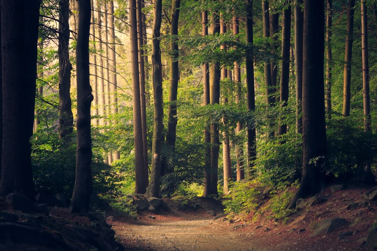 Understanding Transgenerational Trauma (And How To Heal It)